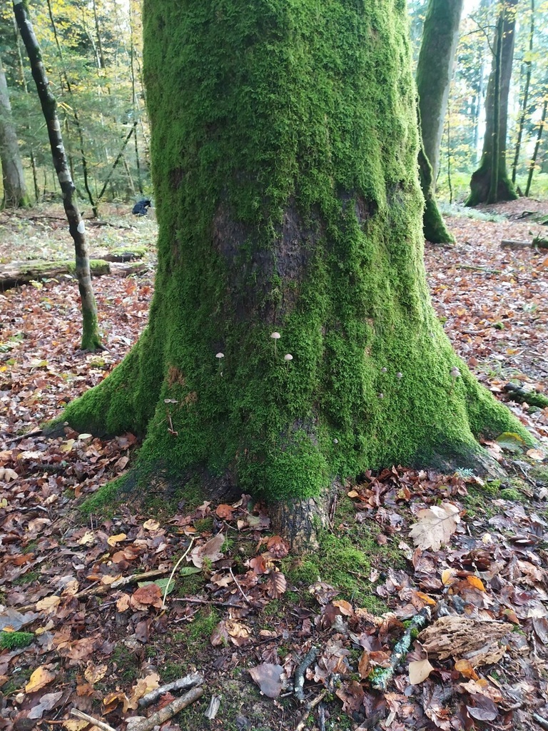 1699471979688_Easy-Resize.com_.jpg