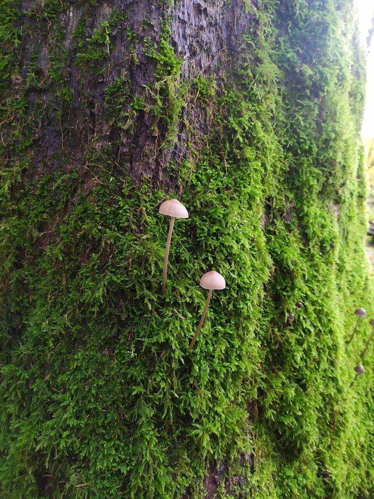 1699471979702_Easy-Resize.com_.jpg