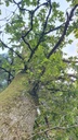 churze-Chnorzli-Webseite-2_1-scaled.jpg