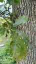 churze-Chnorzli-Webseite-3_1-scaled.jpg
