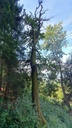 churze-Chnorzli-Webseite-4_1-scaled.jpg