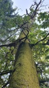 churze-Chnorzli-Webseite-5_1-scaled.jpg