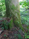 Isegrimm-Webseite-4_Easy-Resize.com_.jpg