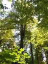 Isegrimm-Webseite-5_Easy-Resize.com_.jpg