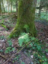 Vom-Winde-verweht-Webseite-3_Easy-Resize.com_.jpg