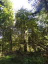 Diogenes-Webseite-4_Easy-Resize.com_.jpg