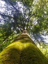Diogenes-Webseite-5_Easy-Resize.com_.jpg