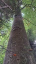 Mehraeugiger-Riese-Web-4_Easy-Resize.com_.jpg