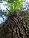 Lapislazuli-Webseite-3_Easy-Resize.com_.jpg
