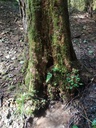 Lapislazuli-Webseite-4_Easy-Resize.com_.jpg