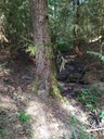 Lapislazuli-Webseite-5_Easy-Resize.com_.jpg