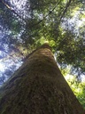 Platon-Webseite-2_Easy-Resize.com_.jpg