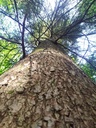 Sokrates-Webseite-3_Easy-Resize.com_.jpg