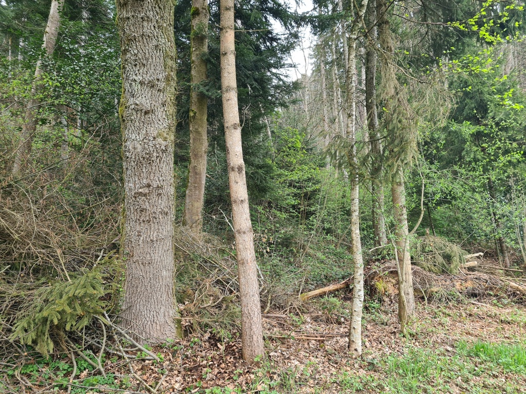 Vorsprung_2_1500px.jpg