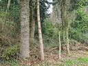 Vorsprung_2_1500px.jpg