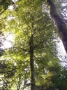 Platon-Webseite-4_Easy-Resize.com_.jpg