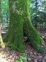 Foxtrott-Webseite-2_Easy-Resize.com_.jpg