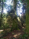 Foxtrott-Webseite-3_Easy-Resize.com_.jpg