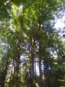 Foxtrott-Webseite-4_Easy-Resize.com_.jpg
