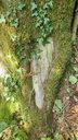 Wurzelwunder-Webseite-4_Easy-Resize.com_.jpg