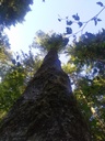 Strubelkopf-Webseite-4_Easy-Resize.com_.jpg