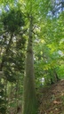 Marterpfahl-Webseite-3_Easy-Resize.com_.jpg
