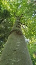Marterpfahl-Webseite-4_Easy-Resize.com_.jpg