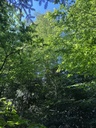22-Birke-graue-Eminez-5-Website-4_Easy-Resize.com_.jpg