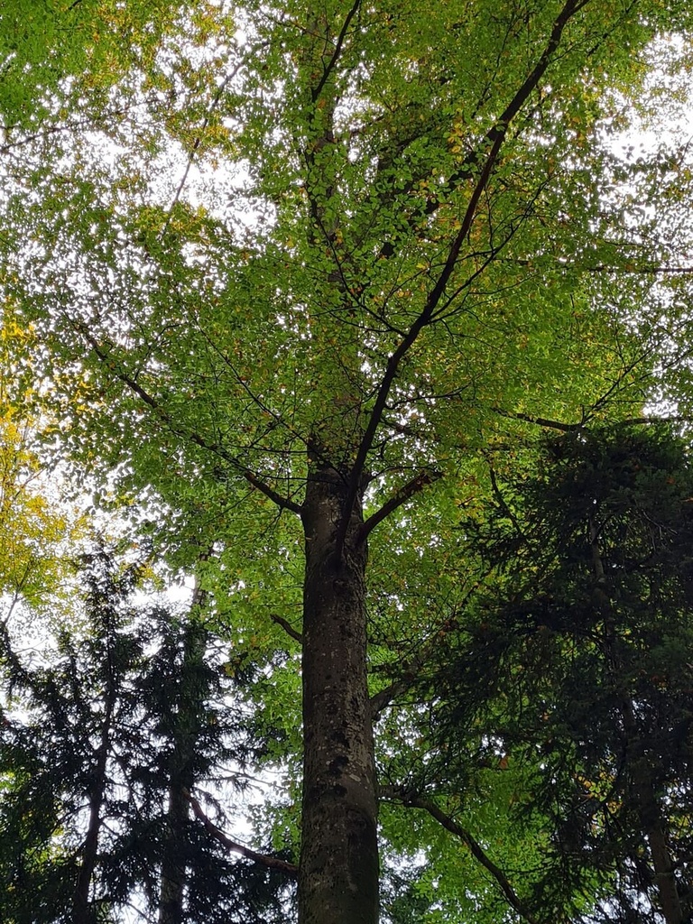 20221020_143123_Easy-Resize.com_.jpg