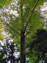 20221020_143123_Easy-Resize.com_.jpg