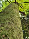 20221020_143229_Easy-Resize.com_.jpg