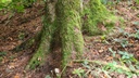 Wundsalbe_4_1500px.jpg