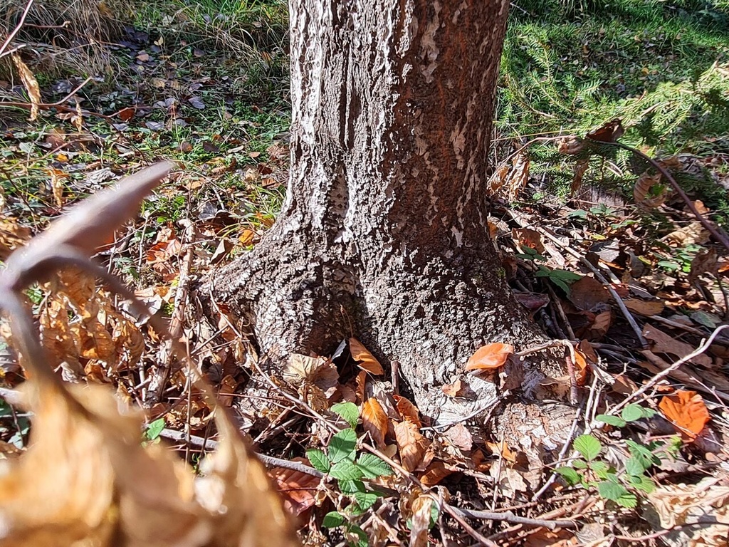 20221019_143303_Easy-Resize.com_.jpg