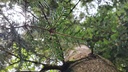 Wundsalbe_5_1500px.jpg