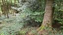 Wundsalbe_6_1500px.jpg
