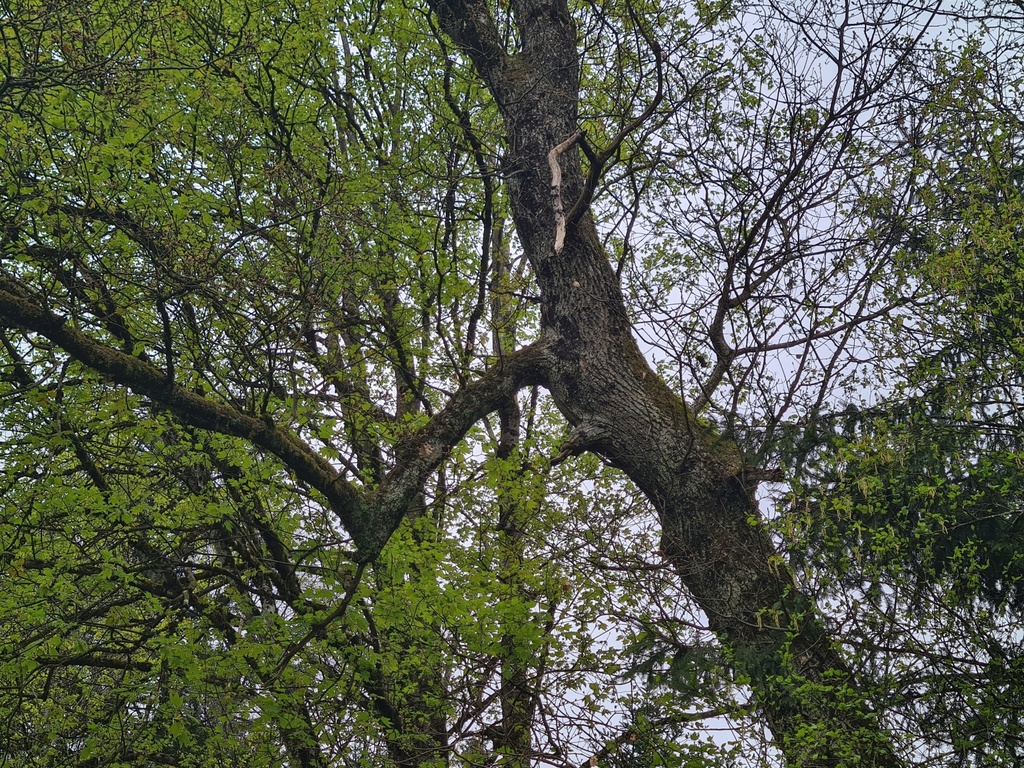 Vorsprung_6_1500px.jpg