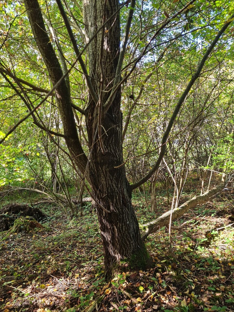 20221019_144953_Easy-Resize.com_.jpg