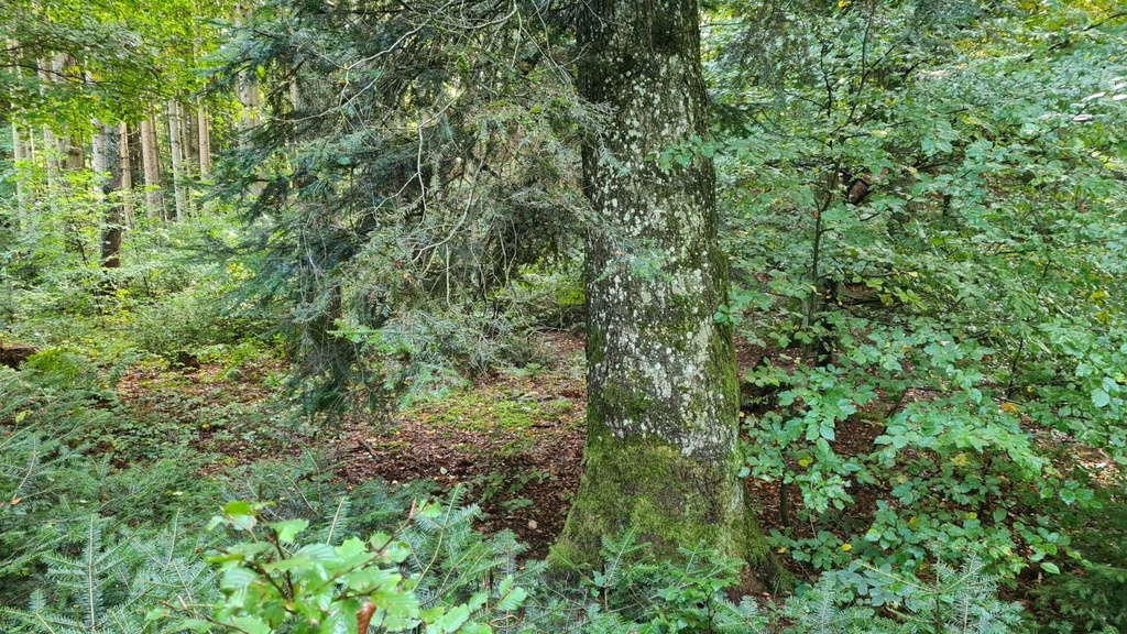 In-guter-Gesellschaft_3_1500px.jpg