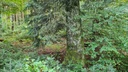 In-guter-Gesellschaft_3_1500px.jpg