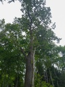 20230519_Uster-A4941_Ei_326_4_Easy-Resize.com_.jpg