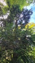 In-guter-Gesellschaft_4_1500px.jpg