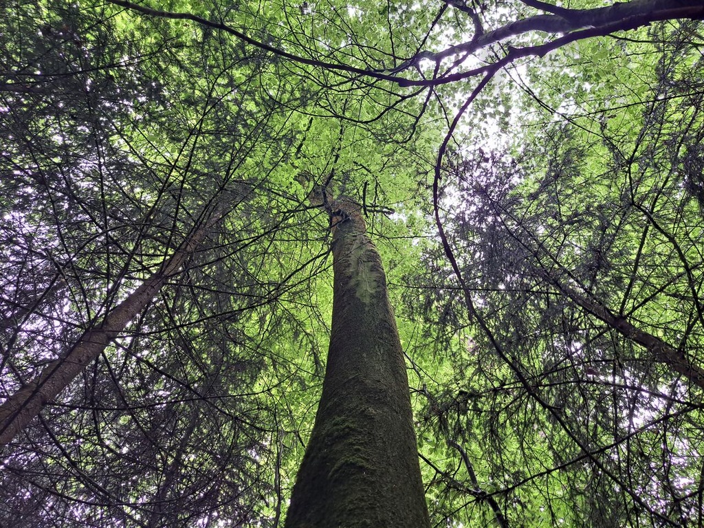 861021-5_Easy-Resize.com_-2.jpg