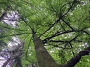 861021-5_Easy-Resize.com_.jpg