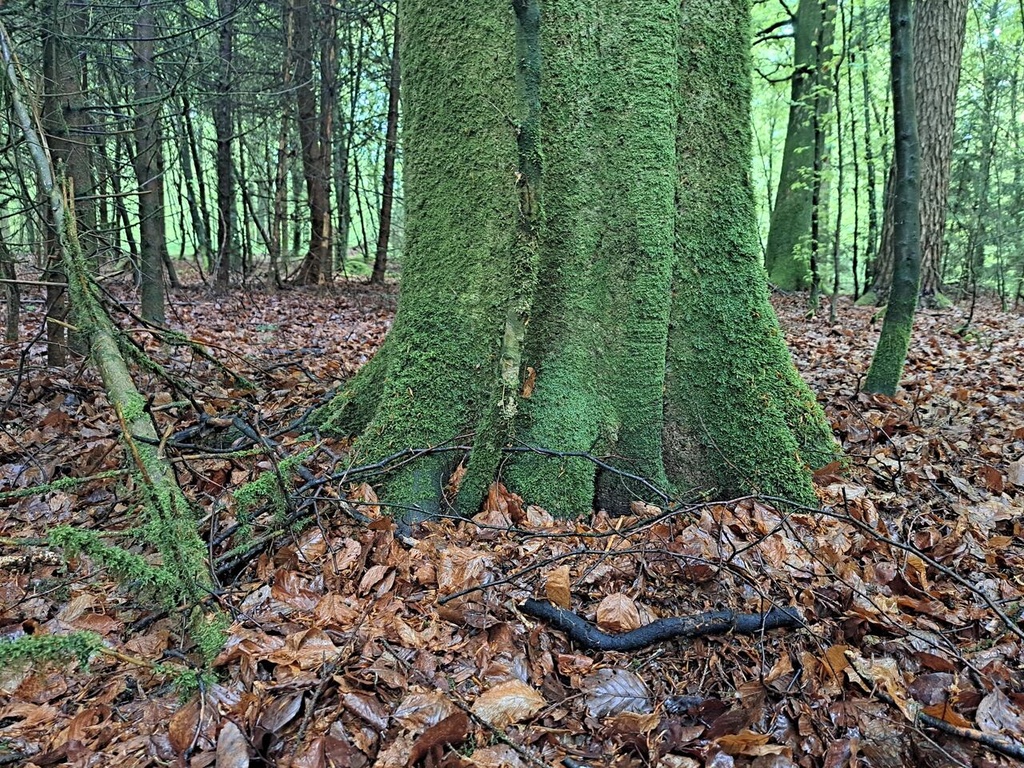 861021-6_Easy-Resize.com_.jpg