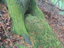 861021-8_Easy-Resize.com_.jpg