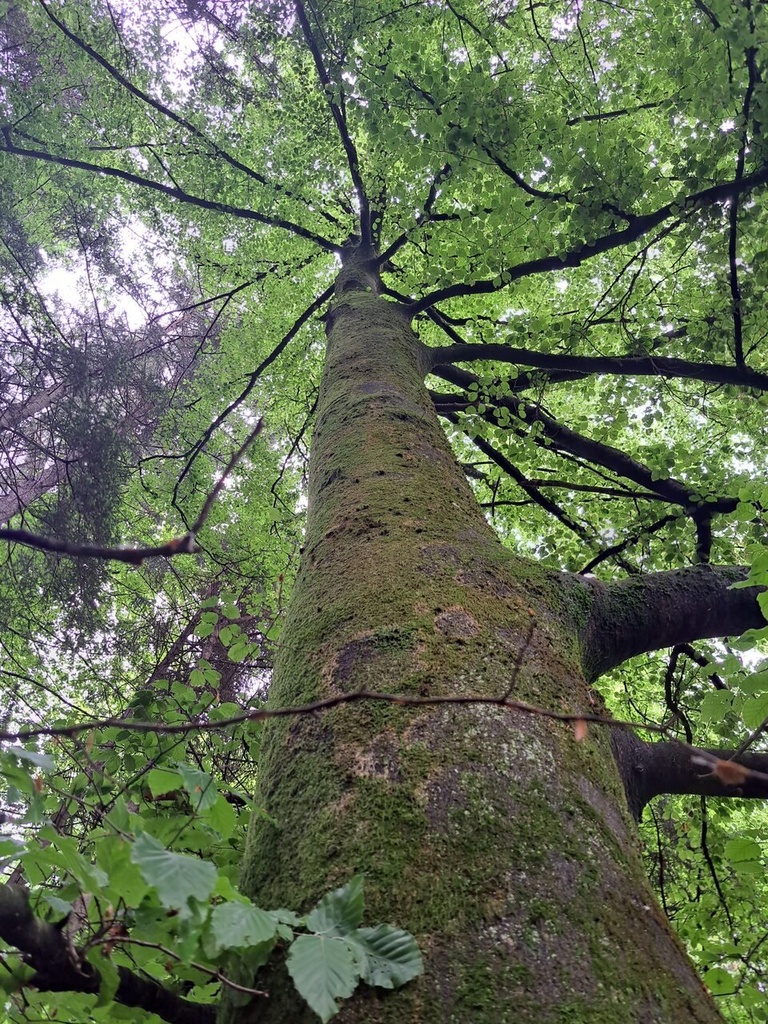 861021-14_Easy-Resize.com_.jpg