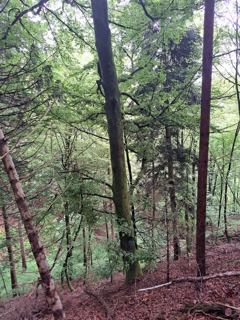861021-15_Easy-Resize.com_.jpg