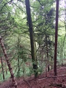 861021-15_Easy-Resize.com_.jpg