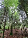 861021-18_Easy-Resize.com_.jpg