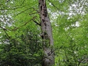 861021-20_Easy-Resize.com_.jpg
